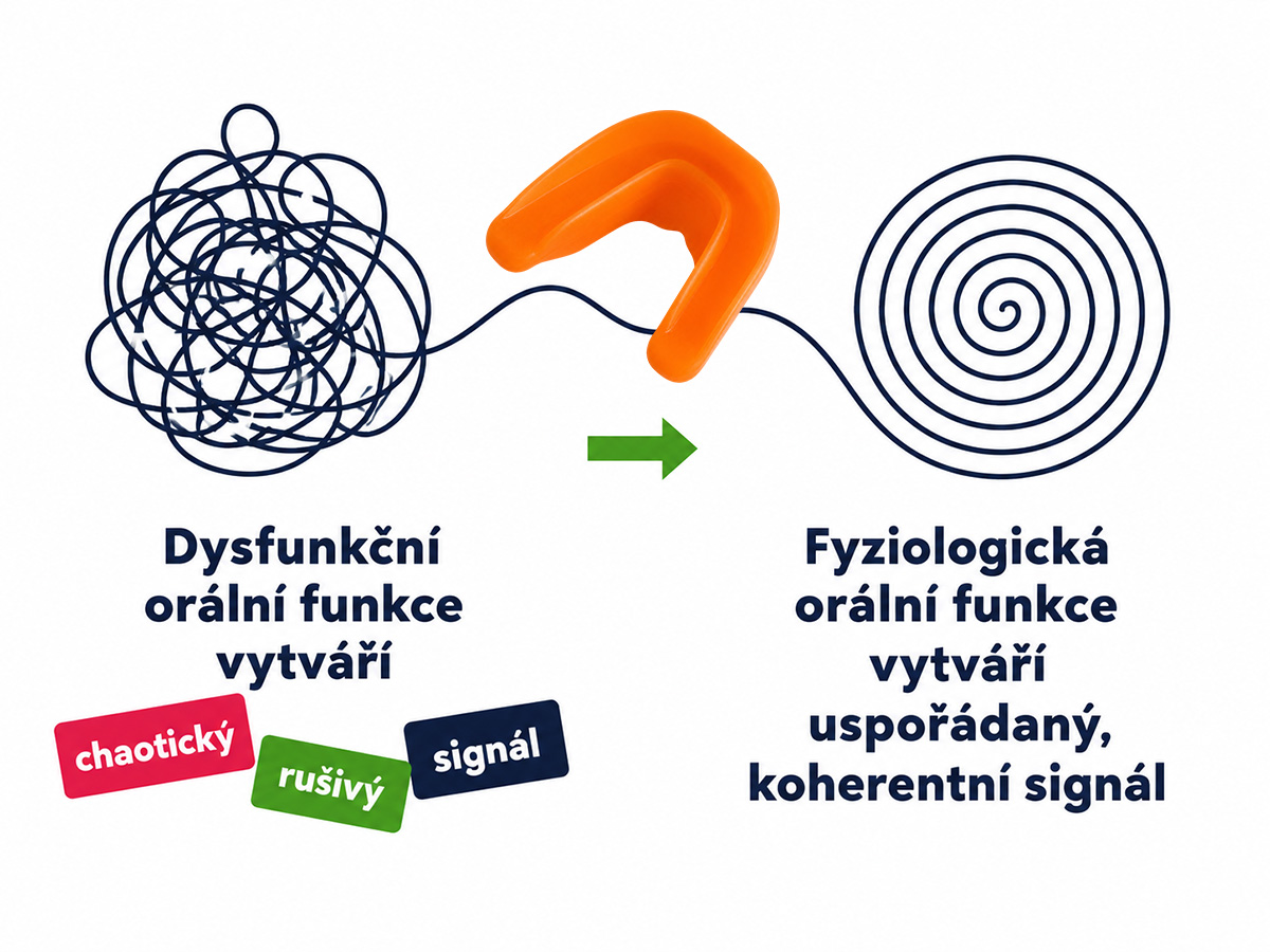 Balancer pomáhá měnit chaotický a rušivý signál dysfunkční orální funkce na uspořádaný, koherentní signál fyziologické orální funkce